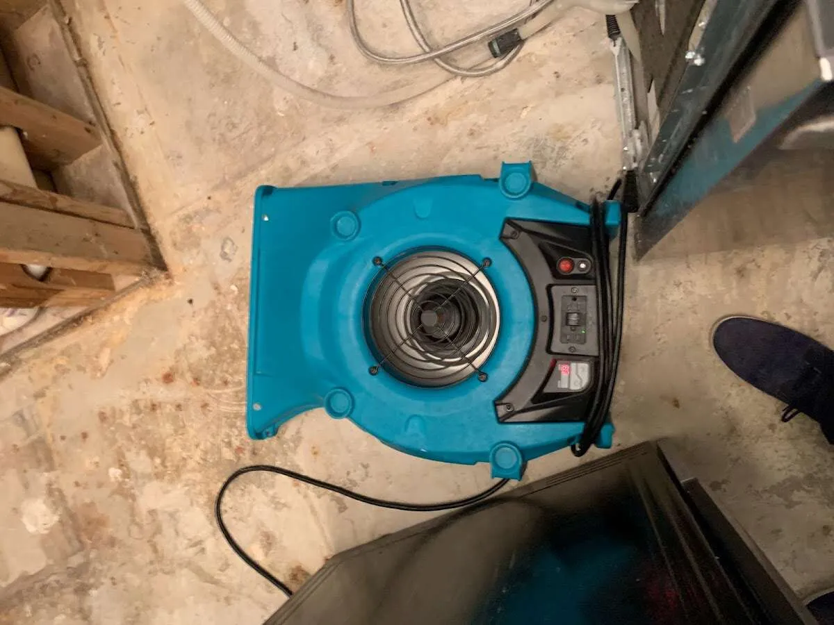 Air mover drying equipment for Mold Remediation & Removal in Altamonte Springs